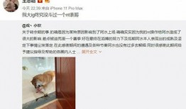 mlxg直播爆料视频,独家爆料游戏圈幕后故事